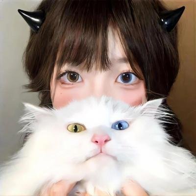 侠岚第二季